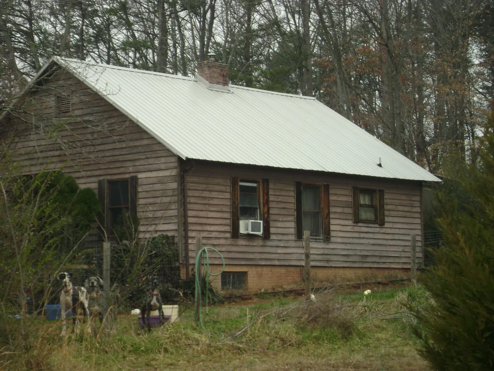 White metal roof on an old wood sided farmhouse, from a Asphalt Shingle Roof Repair job in Medora